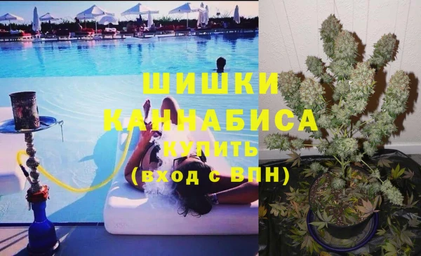 спиды Верея