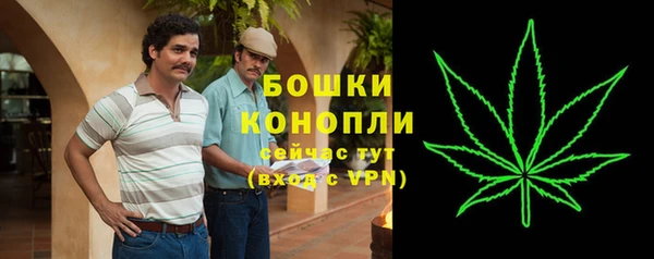 спиды Верея