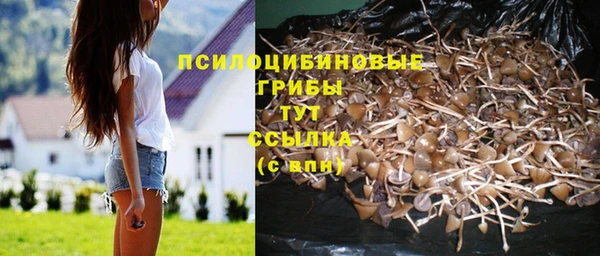 спиды Верея
