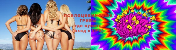 спиды Верея